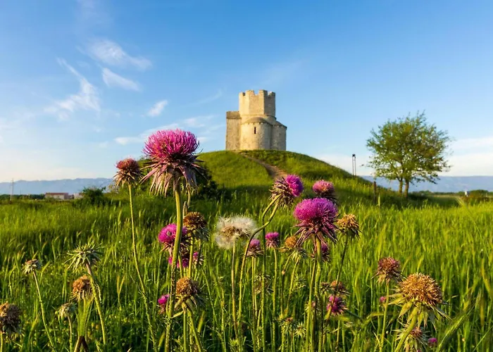 Дом отдыха Karla *